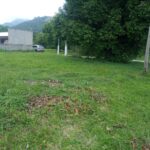 088ad387-25b1-439d-a4ea-394d43040576