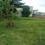 73c009ff-5335-42b9-912e-10c02b808533