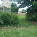 cc266254-187a-40e0-8f1c-15d4aea8a54f