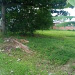 df80c4cf-e01e-43cb-9483-17608eccdaba